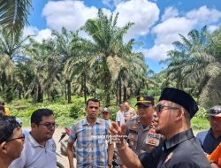 Ketua Umum Ormas IB Tinjau Perkebunan PT. Incasi Raya, Desak Hentikan Penanaman Bibit Sawit Tanpa Izin Adat