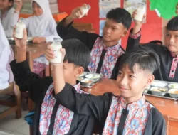 Mengapa Kandungan Susu MBG Belum 100% Lokal? Ini Alasannya